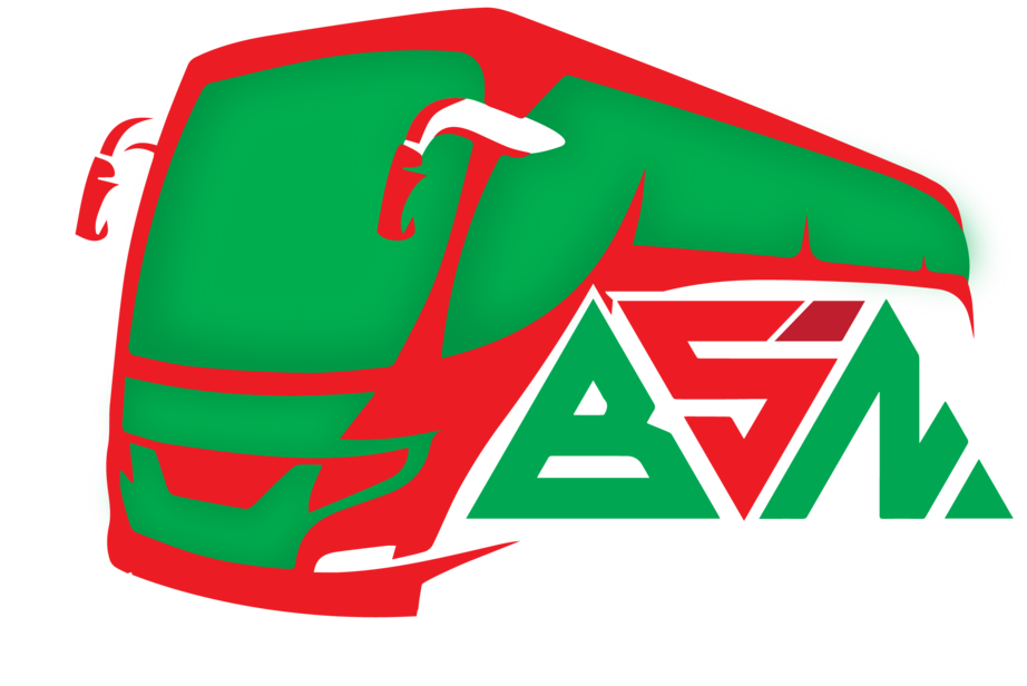 BSN Logo